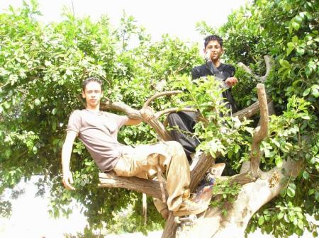 lool les 2 singe